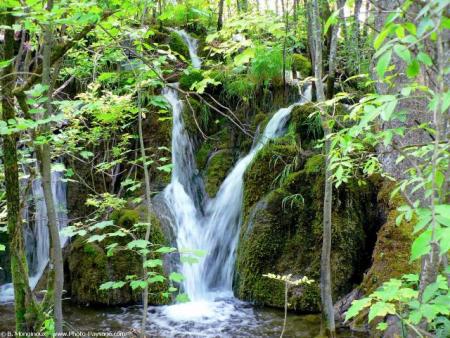 La haine, un sentiment qui ne vaut une Amitier pure et sinc&egrave;re